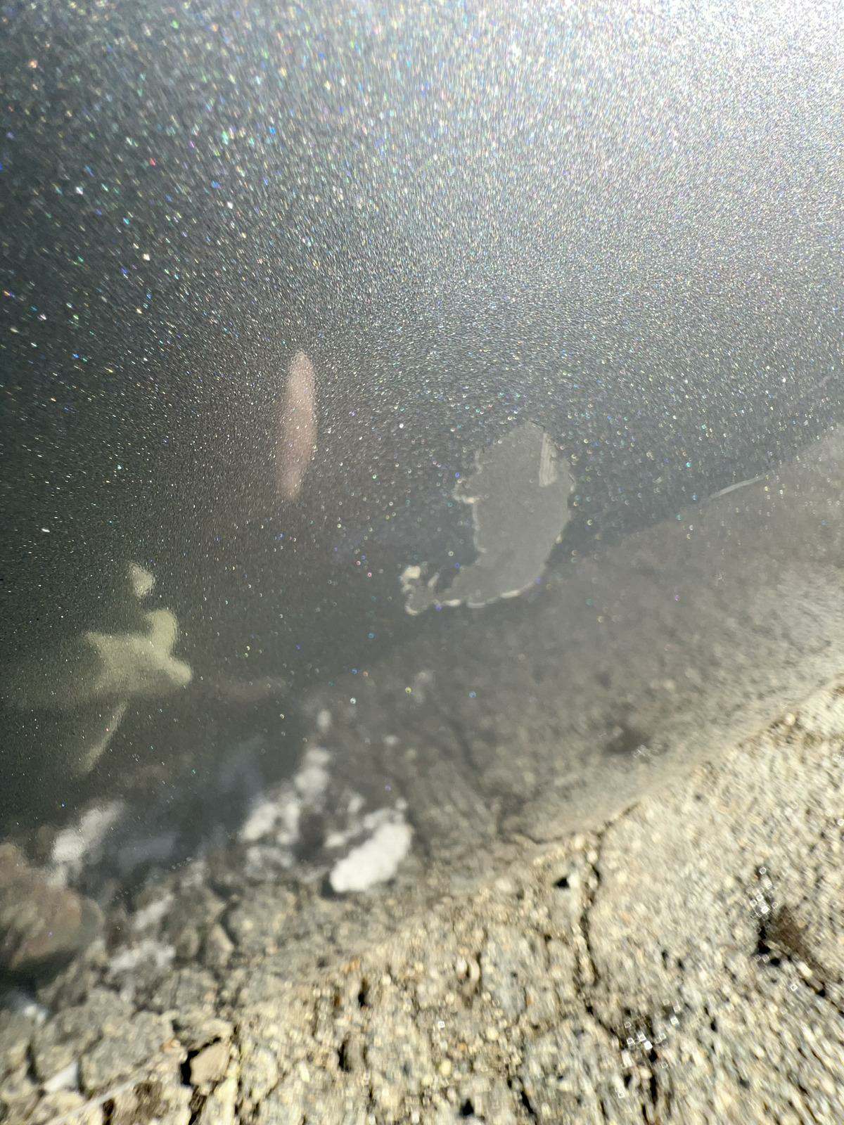 2016 Dodge Challenger SXT RWD