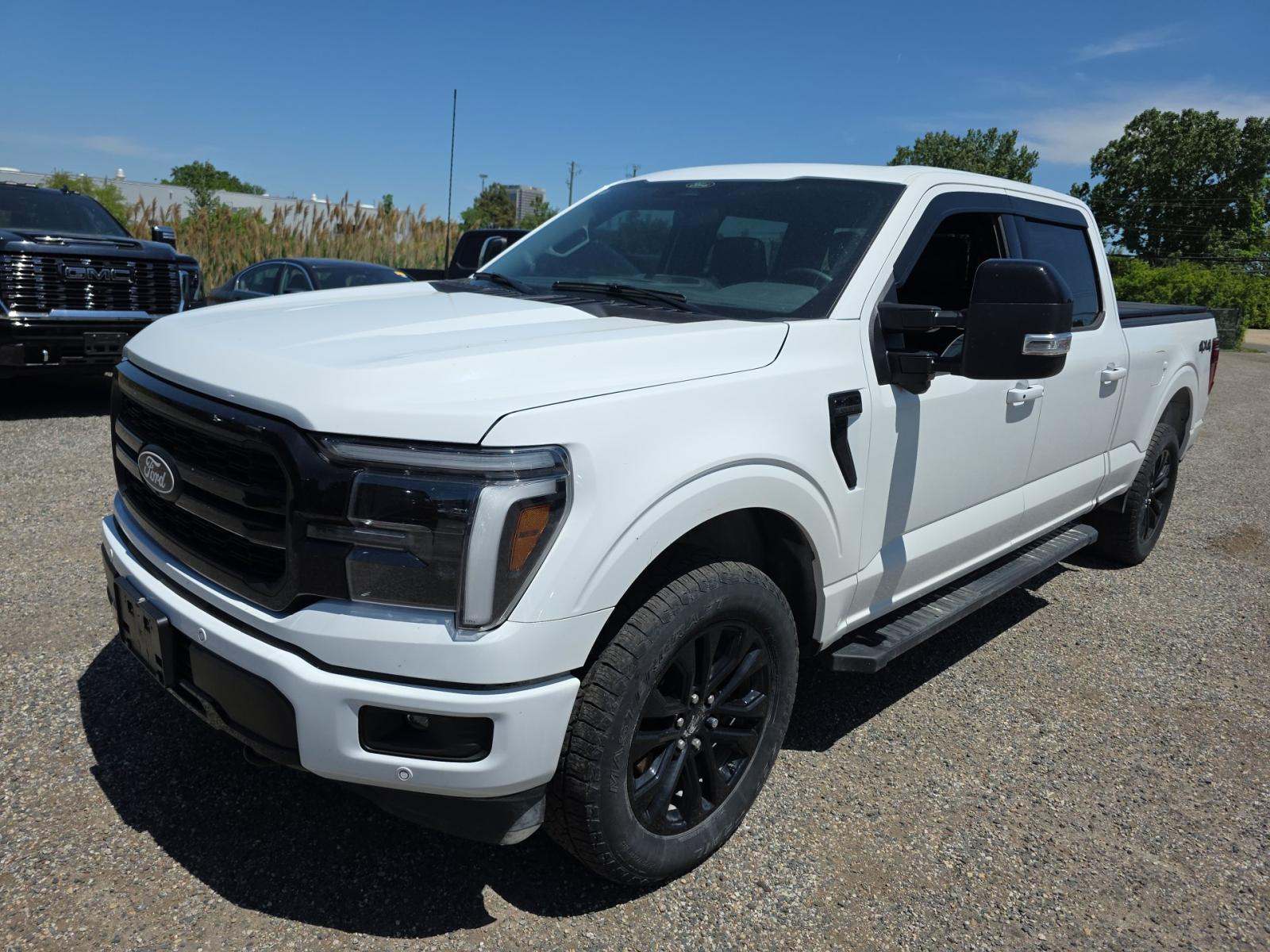 FORD F-150 - 1