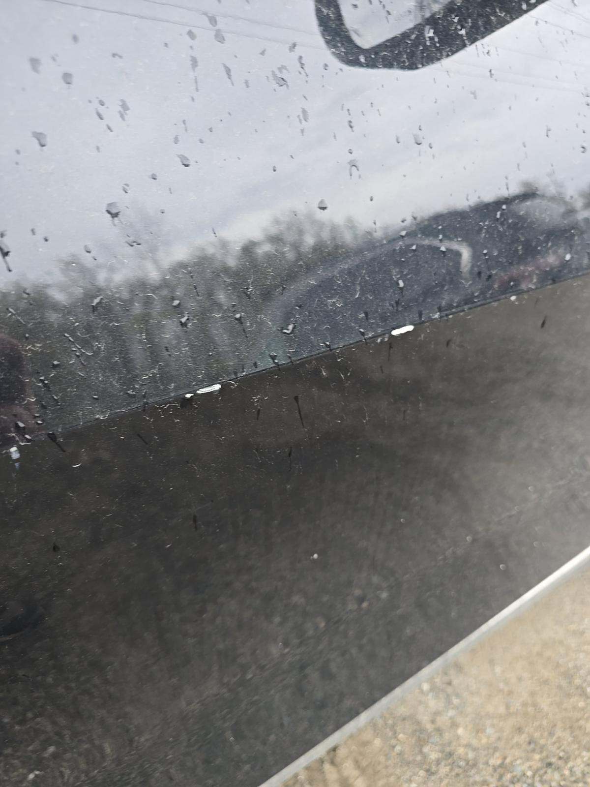 2024 BMW X7 xDrive40i AWD