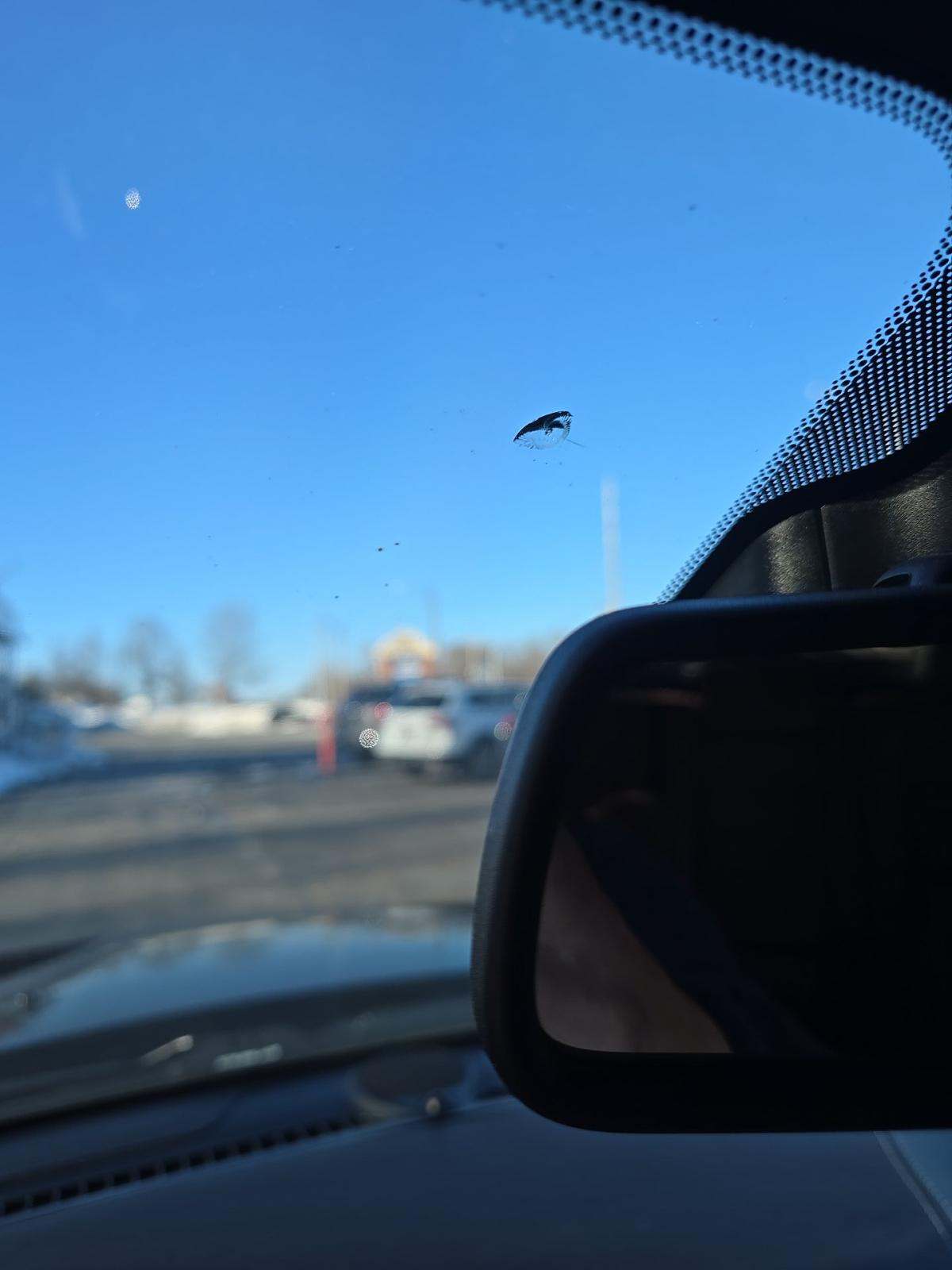 2015 Jeep Grand Cherokee SRT AWD