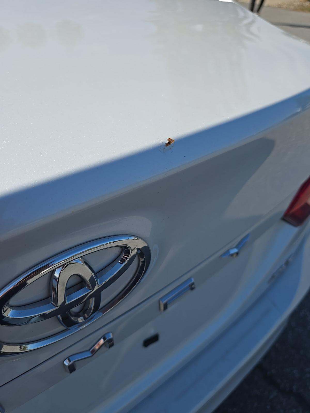 2019 Toyota Camry XLE FWD