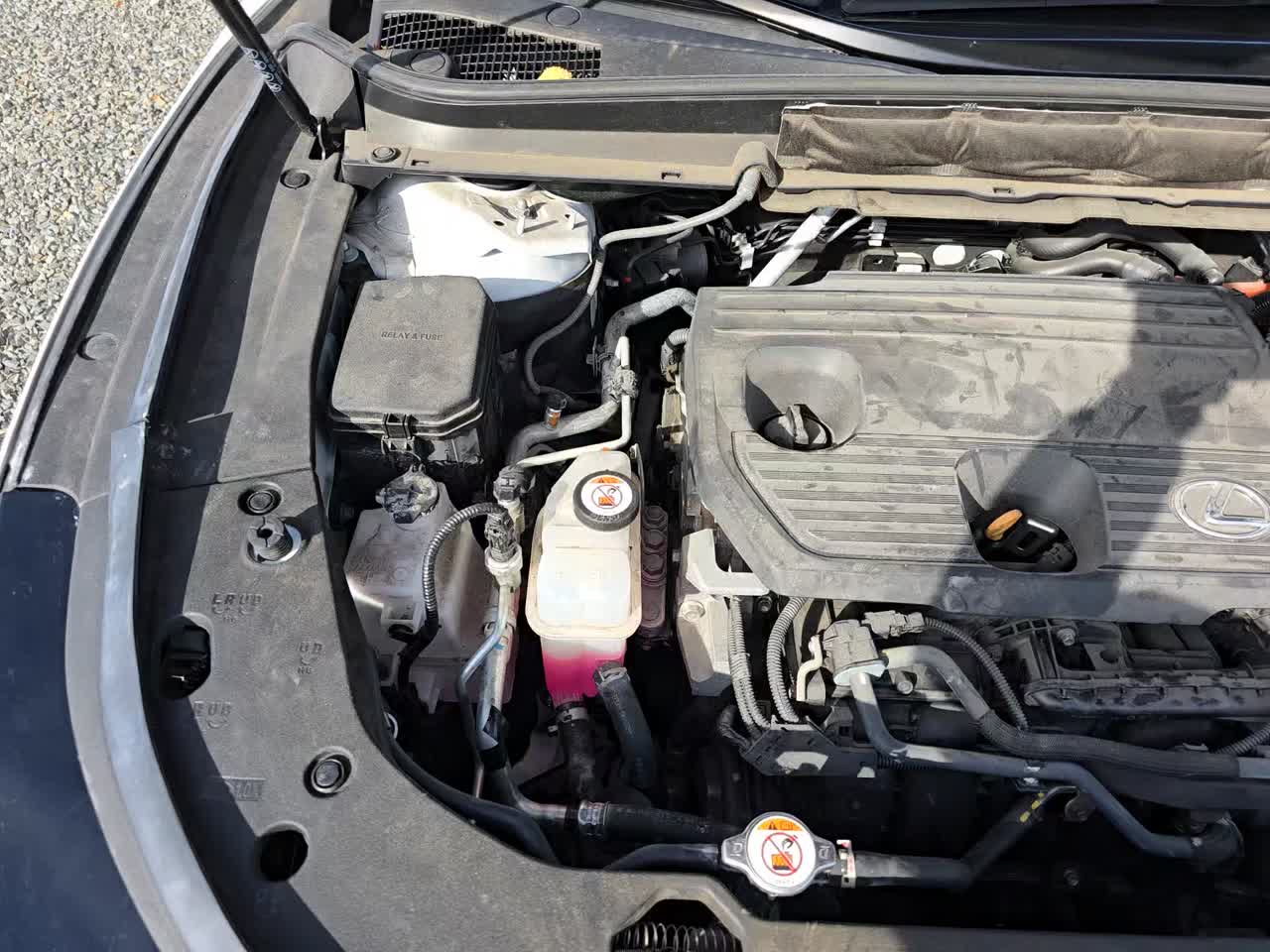 2023 Lexus RX RX 350h Premium Plus AWD