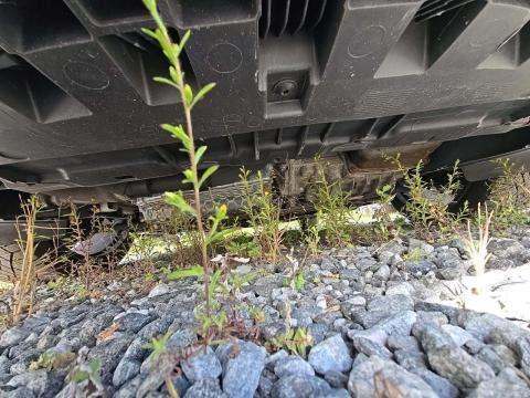 2016 Audi S3 Prestige AWD