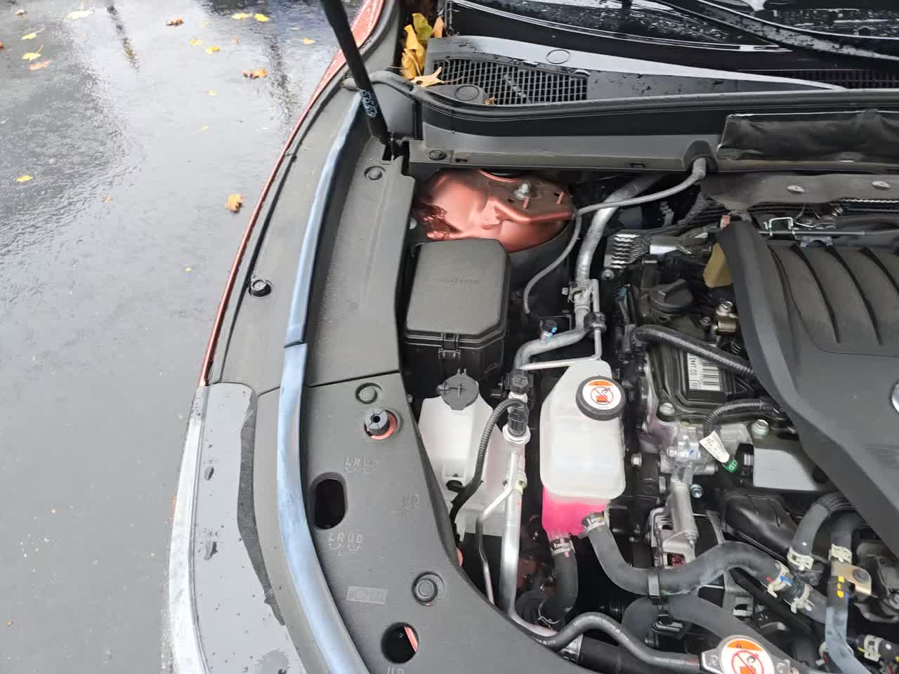 2023 Lexus RX RX 350 Premium Plus AWD