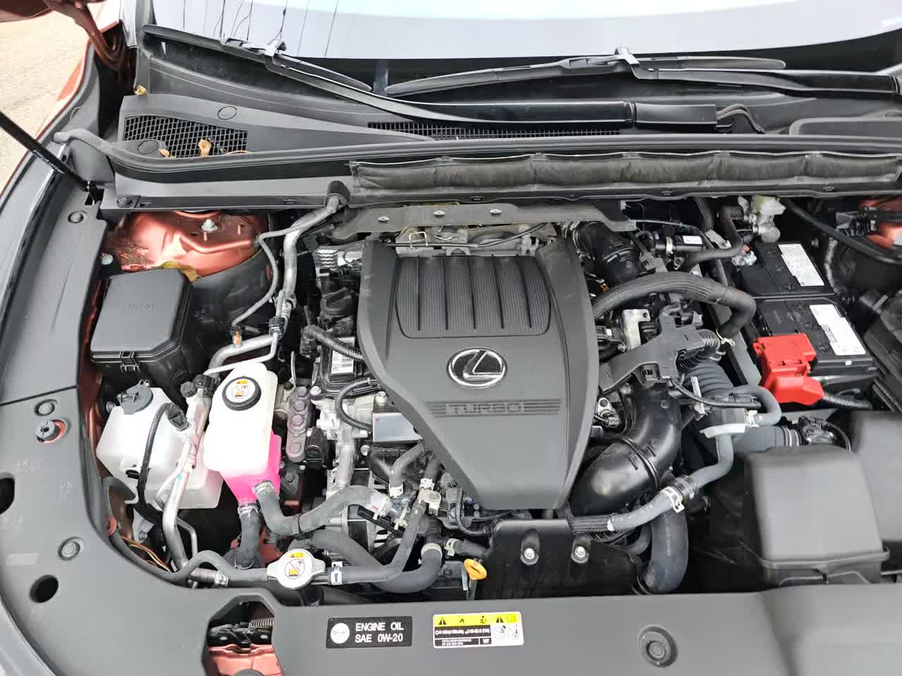 2024 Lexus RX RX 350 Premium Plus AWD