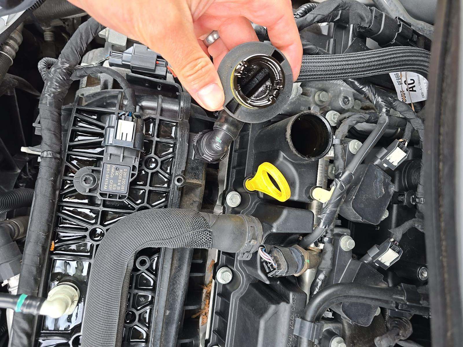 2019 Ford Escape SE AWD