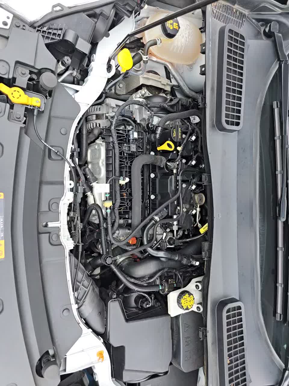 2019 Ford Escape SE AWD