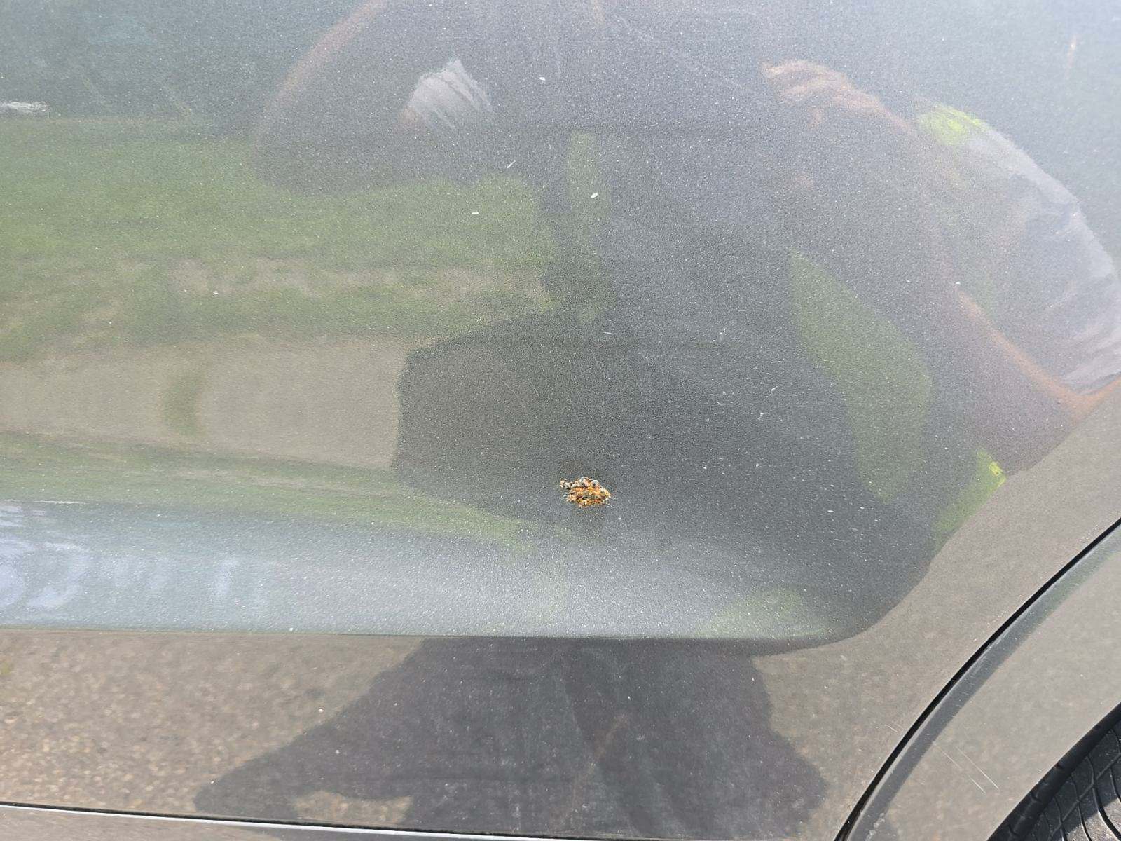 2016 Audi Q3 2.0T Premium Plus AWD