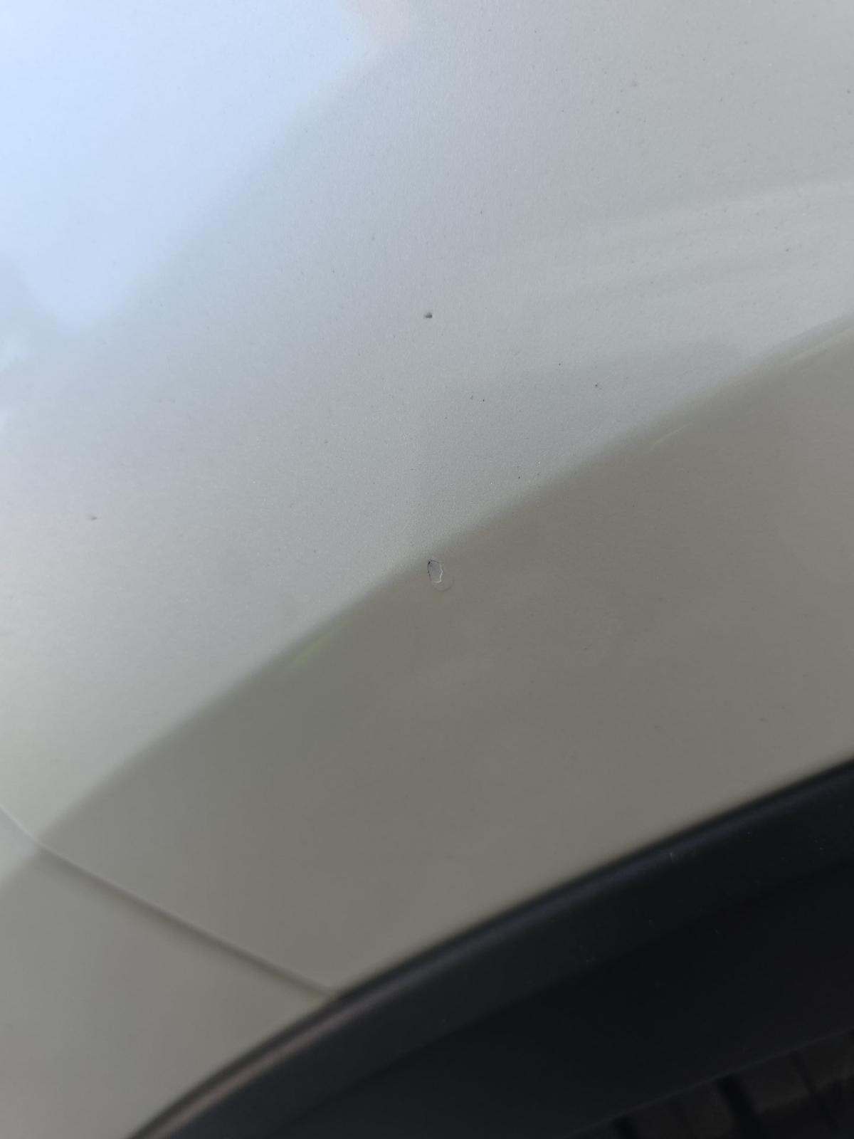 2020 Toyota C-HR XLE FWD