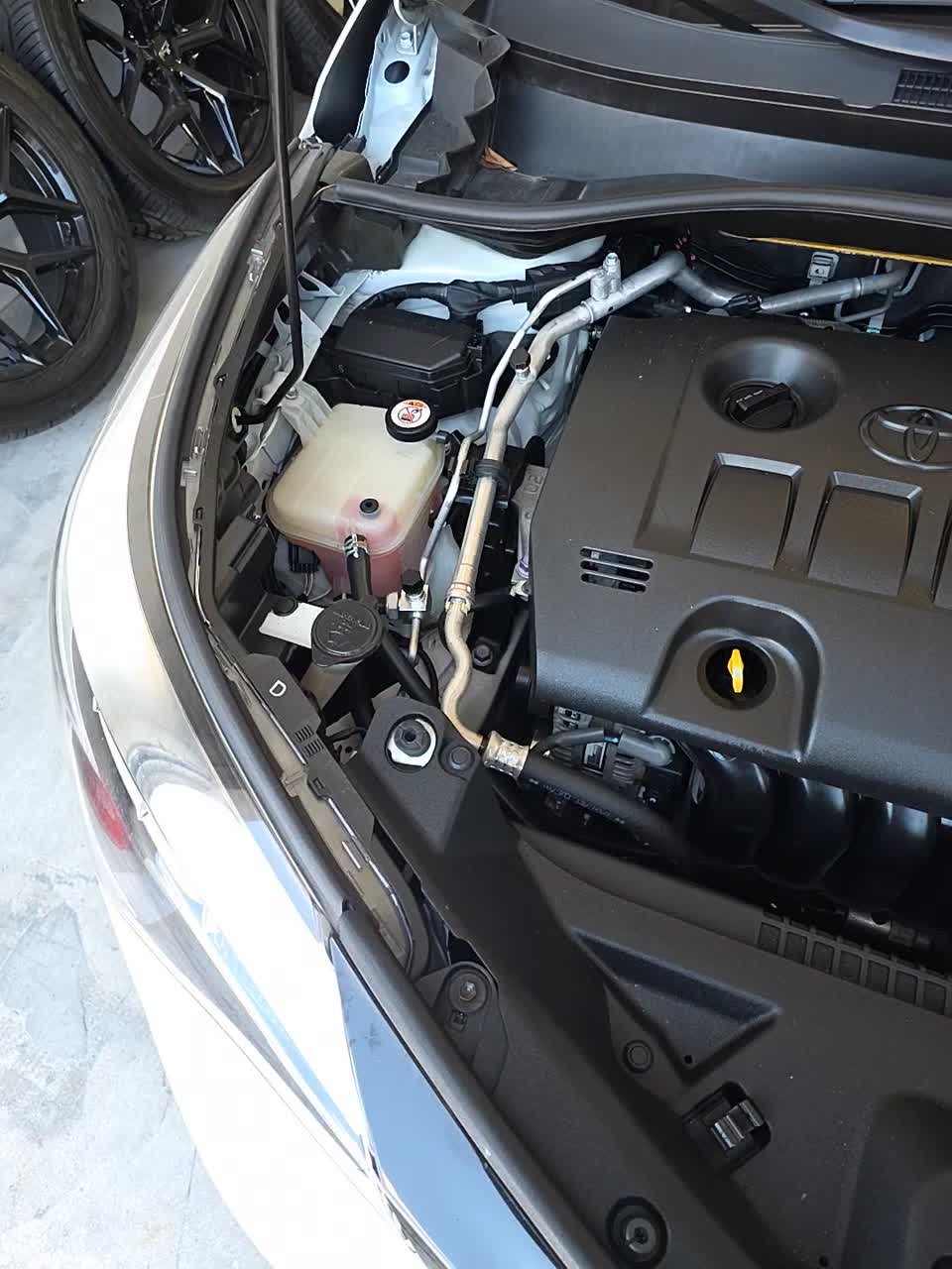2020 Toyota C-HR XLE FWD