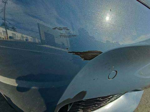 2019 BMW 8 Series M850i xDrive AWD