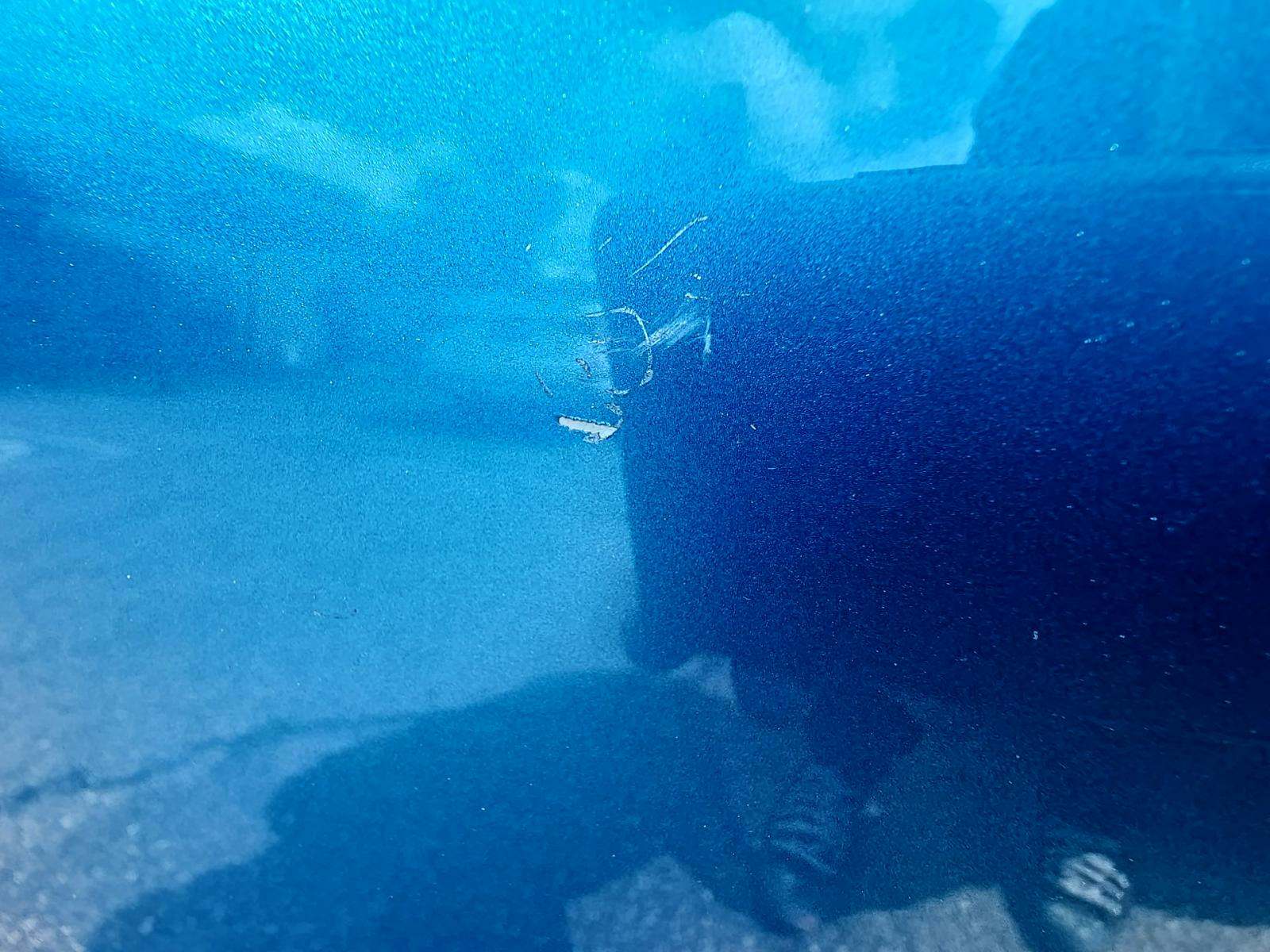 2019 Toyota Prius LE FWD