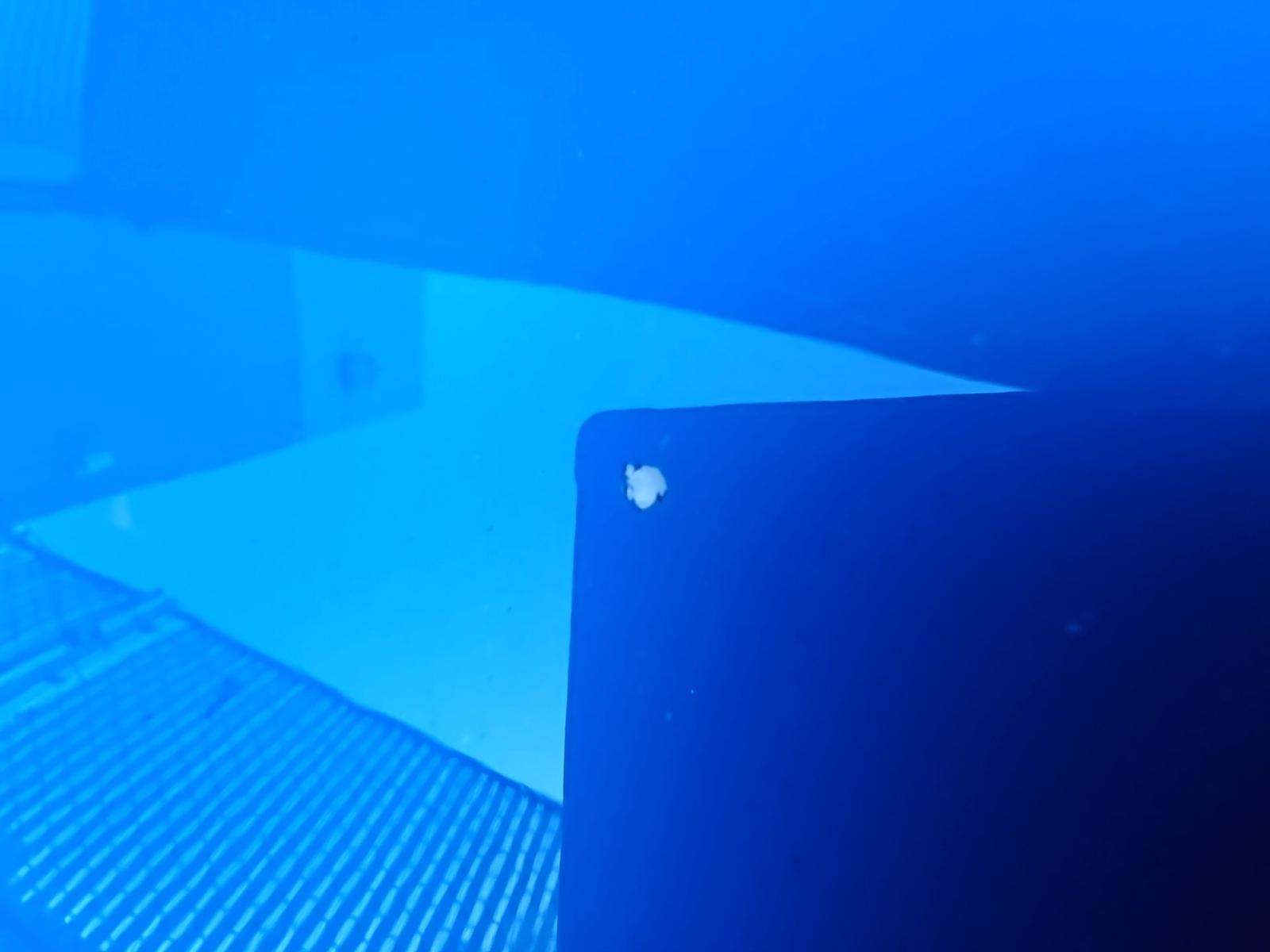 2023 BMW M5 Base AWD