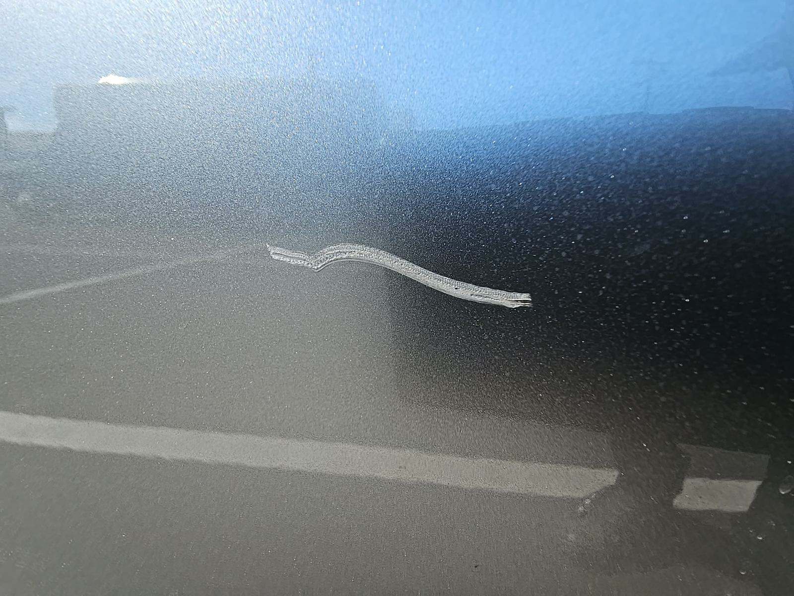 2021 Lexus IS IS 350 F SPORT RWD