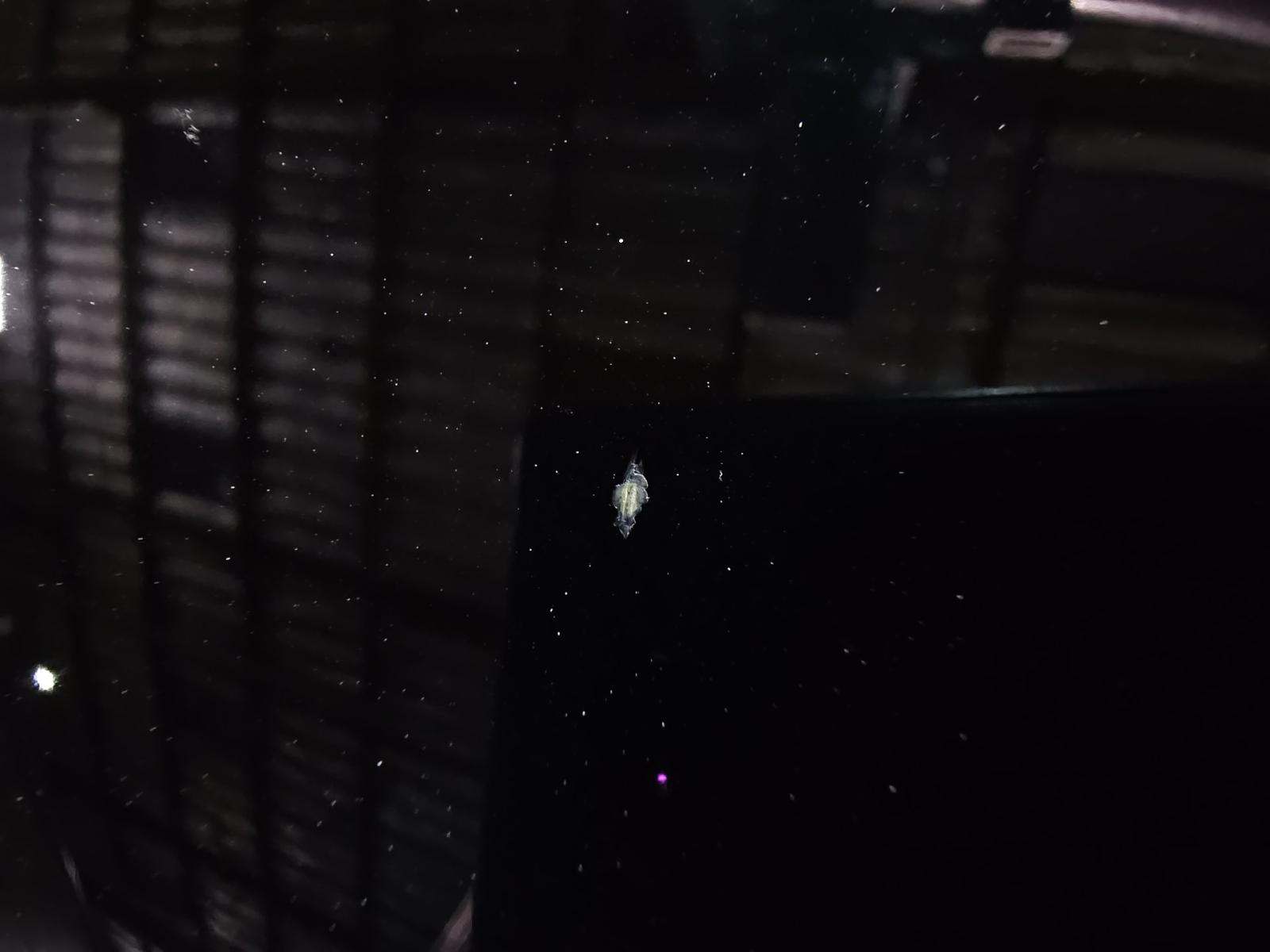 2022 Mercedes-Benz S-Class S 580 AWD