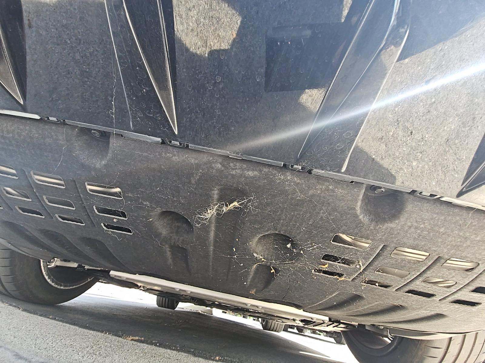 2023 Mercedes-Benz SL-Class AMG SL 55 AWD