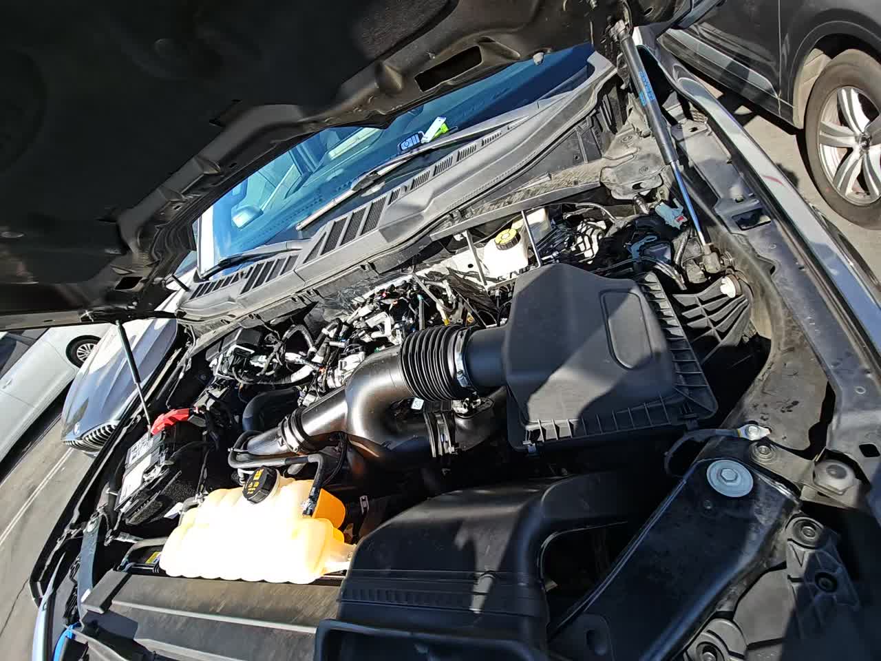 2022 Ford F-150 XLT RWD