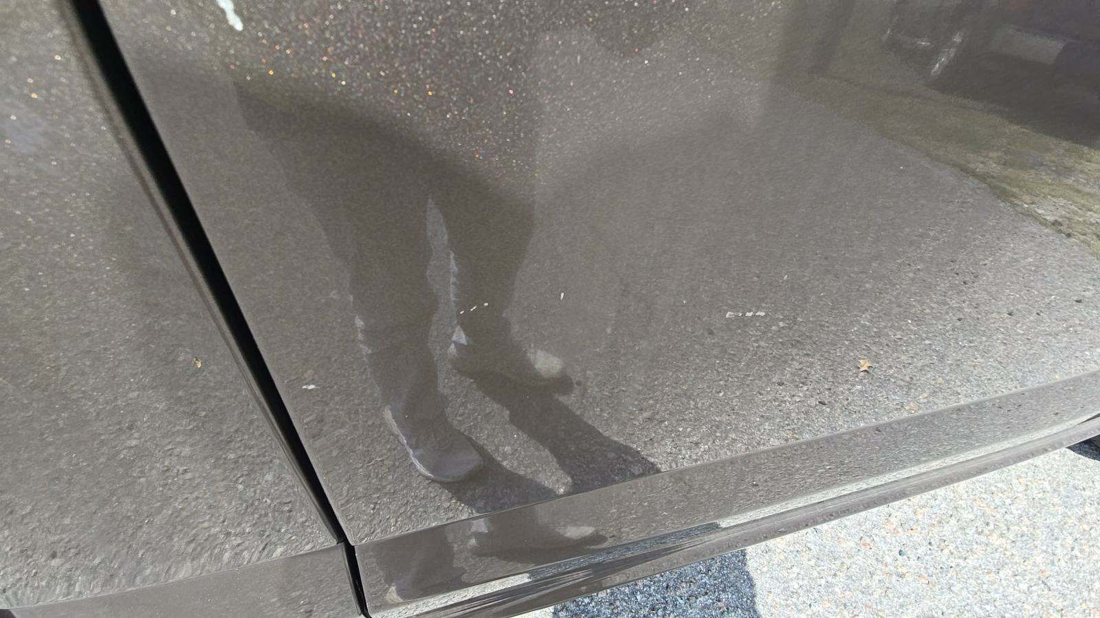 2019 Ford F-150 XL RWD