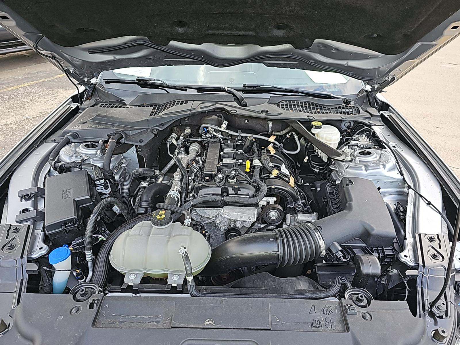 2023 Ford Mustang EcoBoost Premium RWD