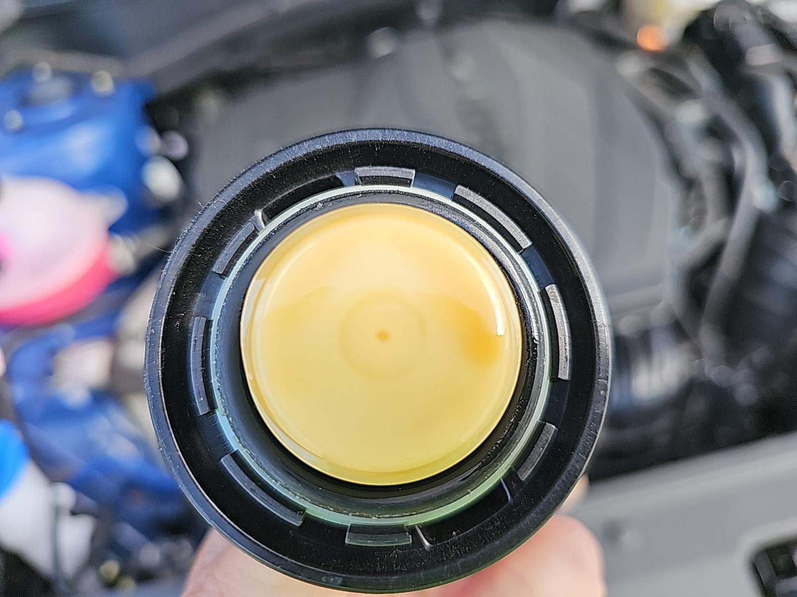 2024 Kia Sportage EX FWD