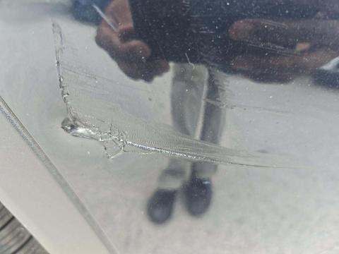 2019 Porsche Cayenne Base AWD