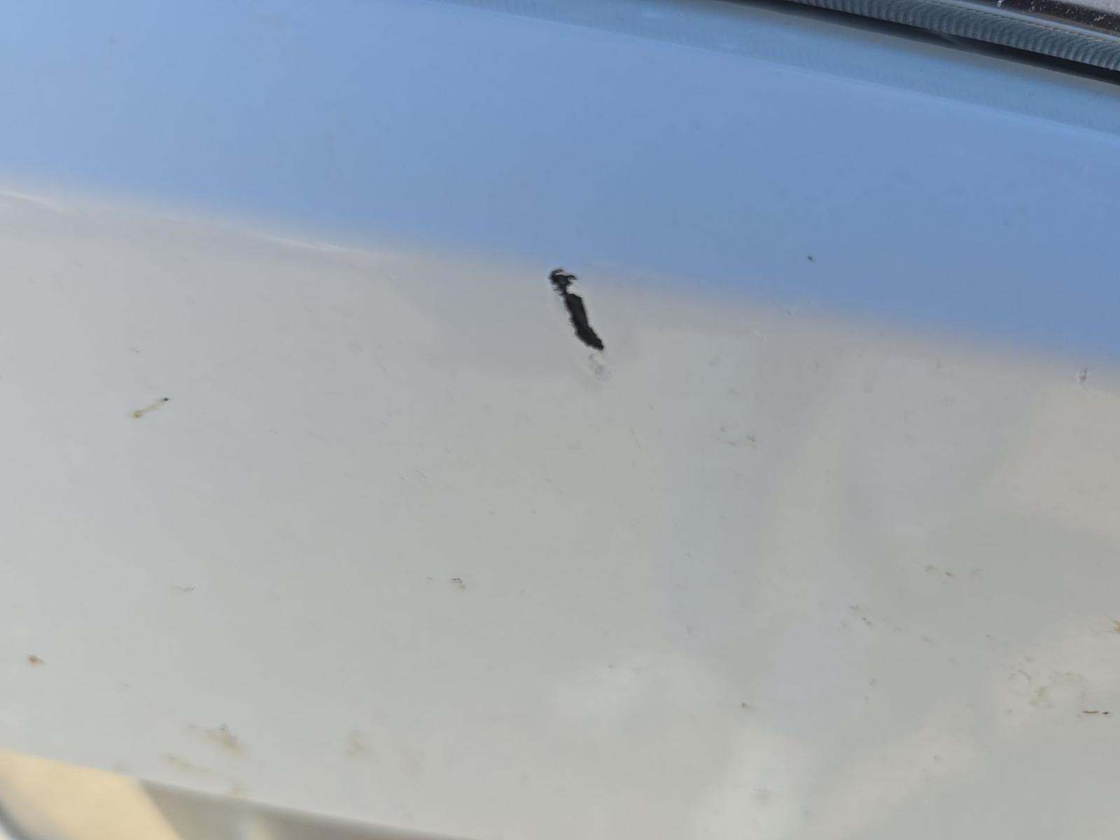 2021 Ford F-150 XLT AWD