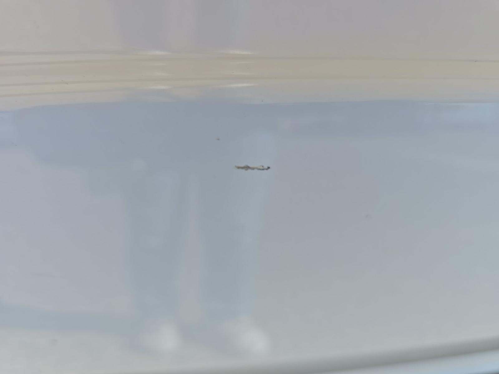 2021 Ford F-150 XLT AWD