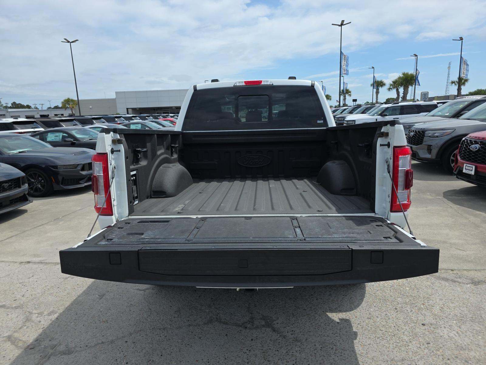 FORD F-150 - 10