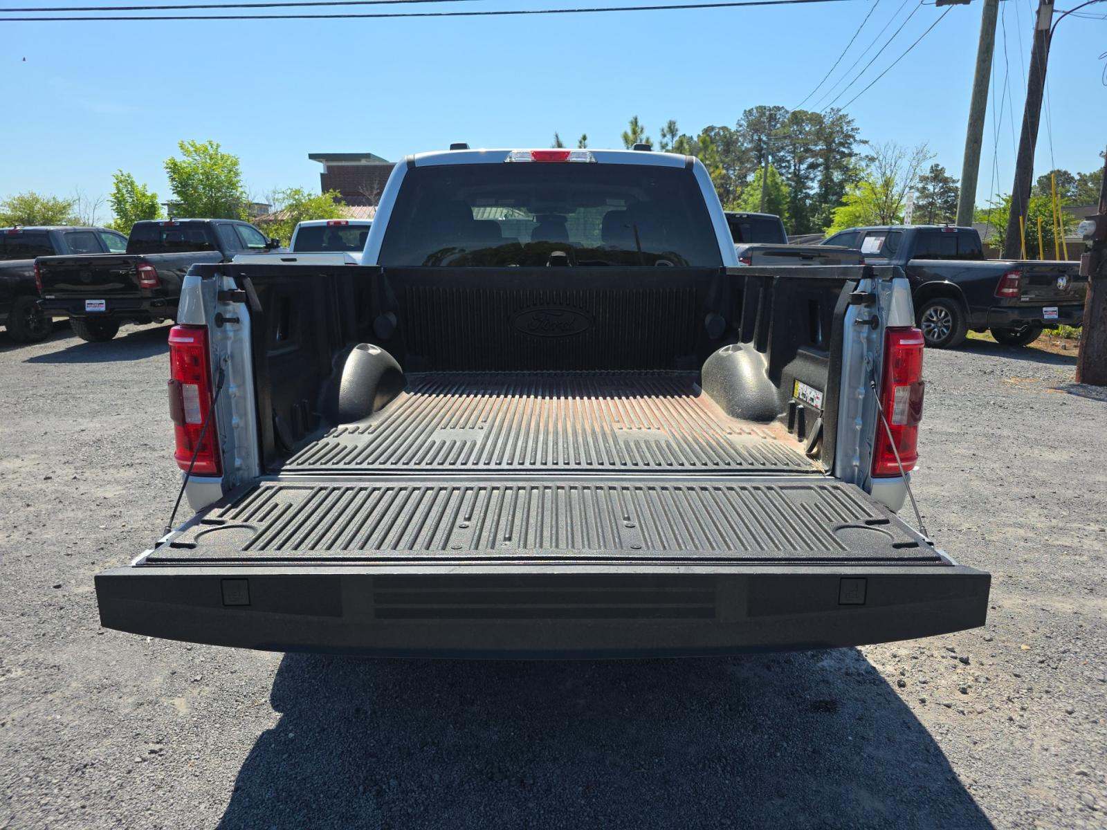 FORD F-150 - 10