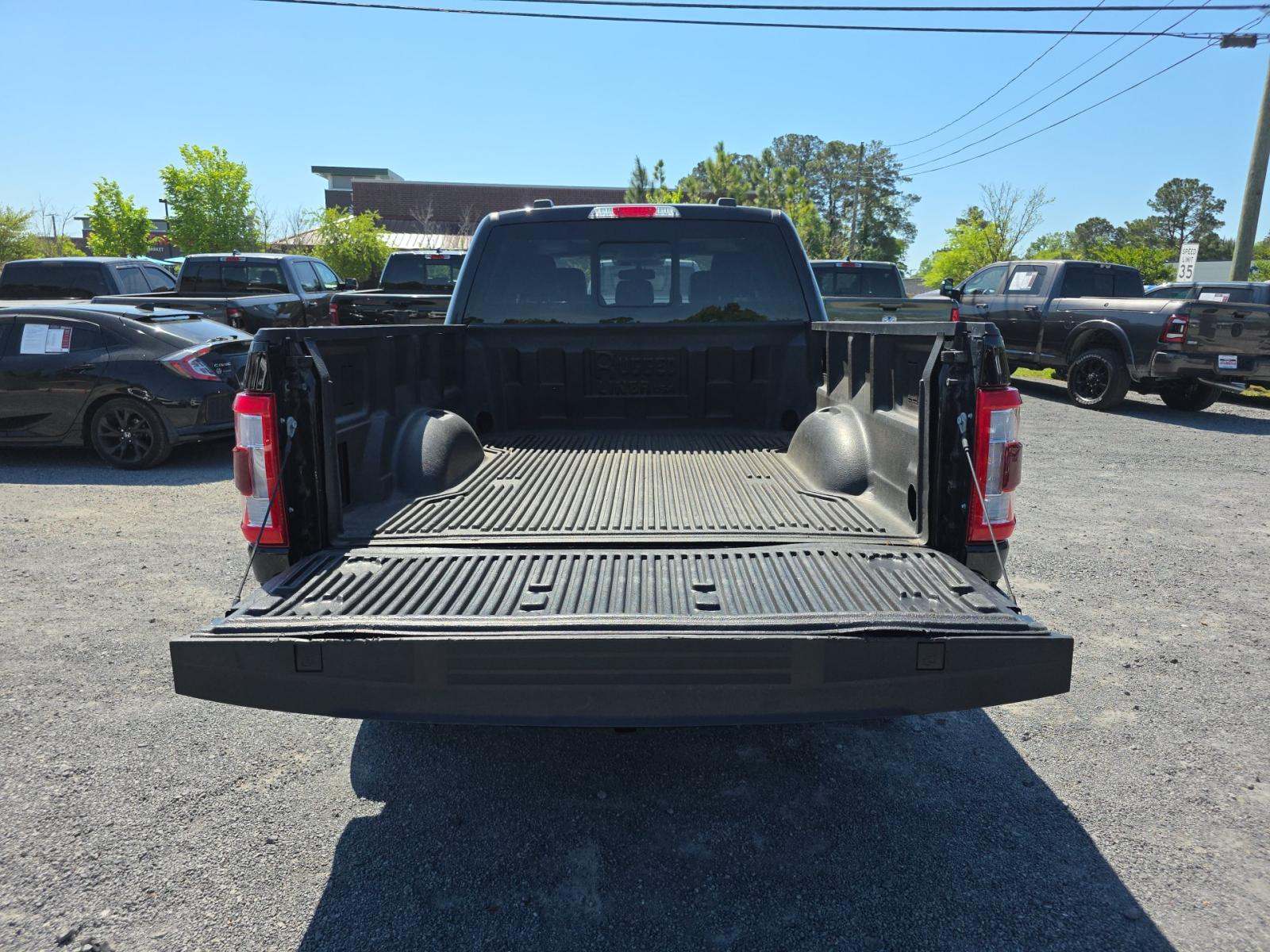 FORD F-150 - 10
