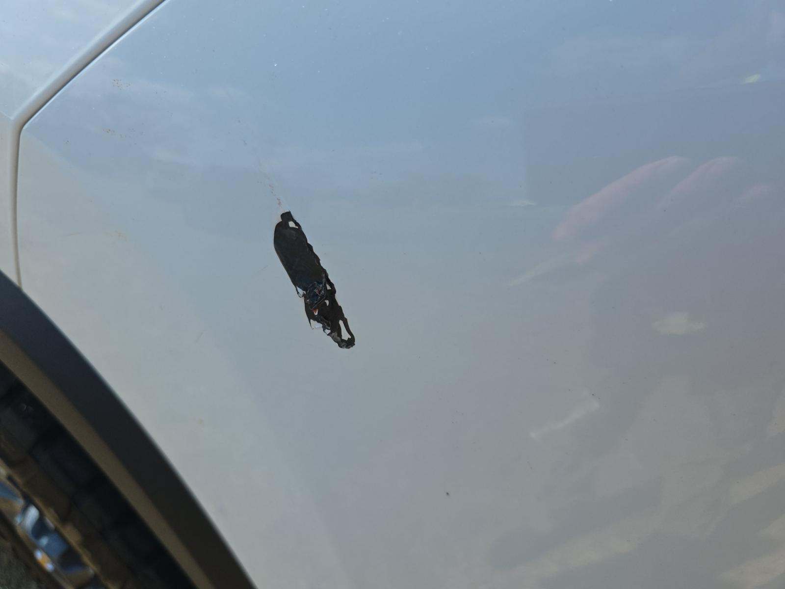 2023 Chevrolet Silverado 2500HD Custom AWD