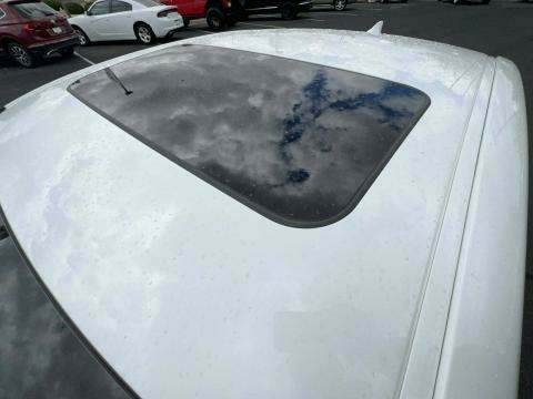 Zdjecie 15