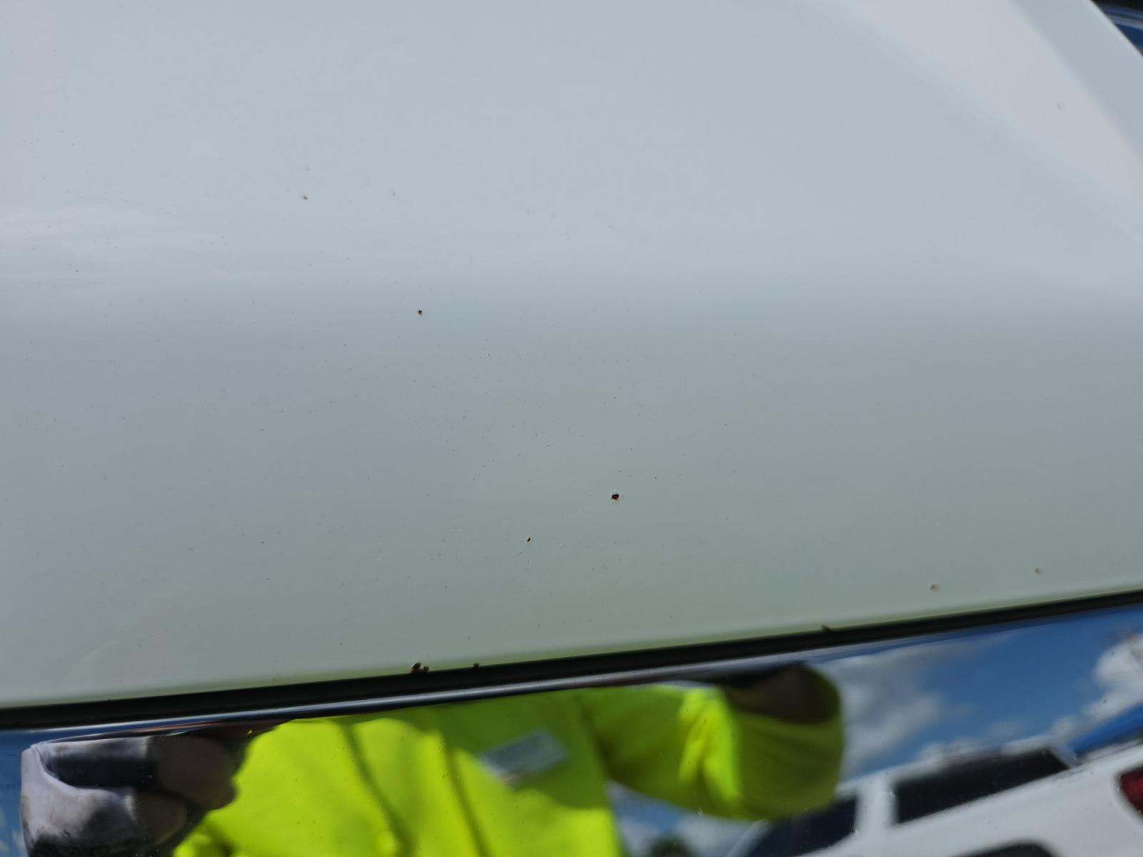 2019 Chevrolet Silverado 2500HD Work Truck AWD