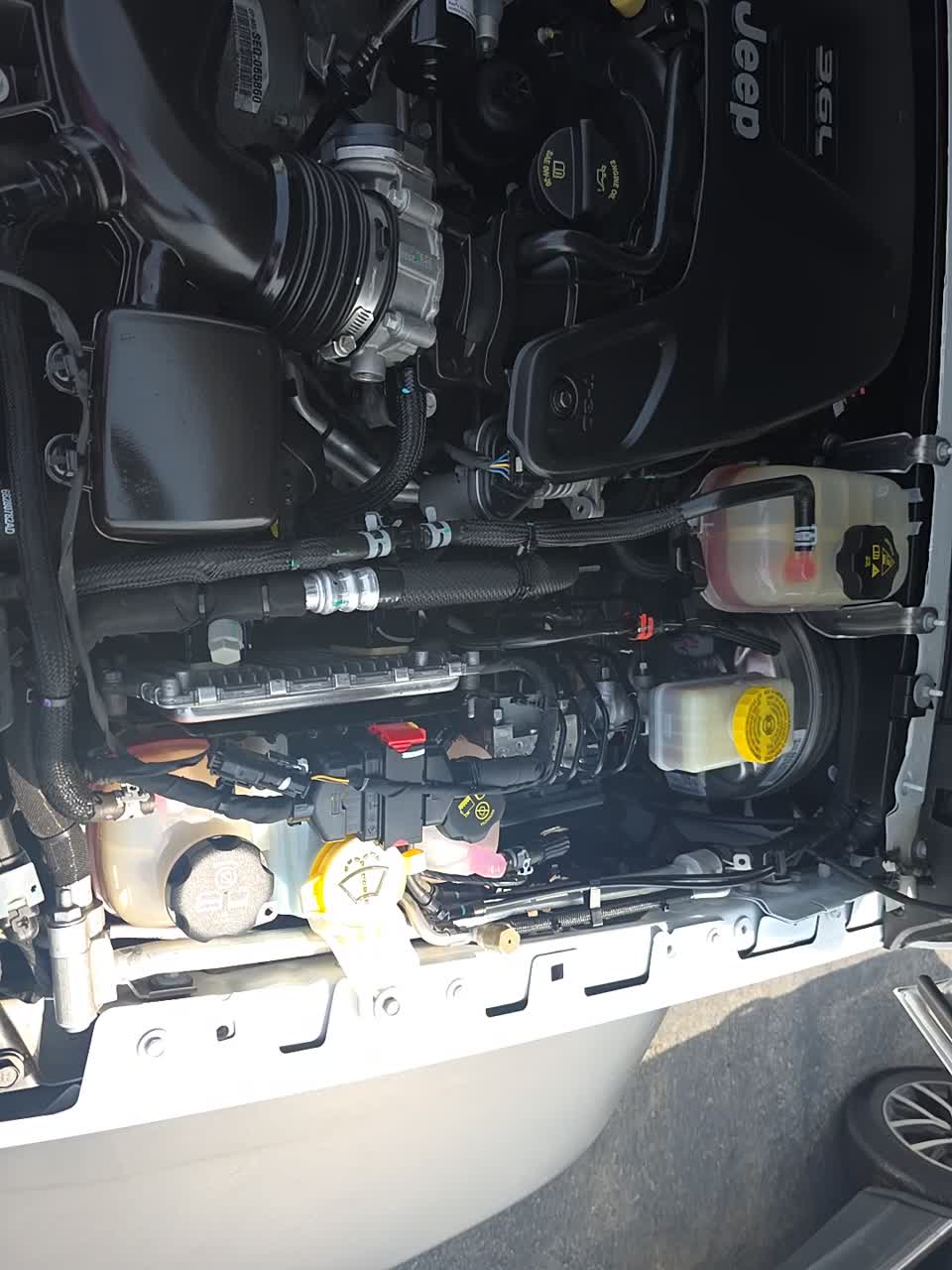 2021 Jeep Wrangler Unlimited Sport Altitude Edition AWD