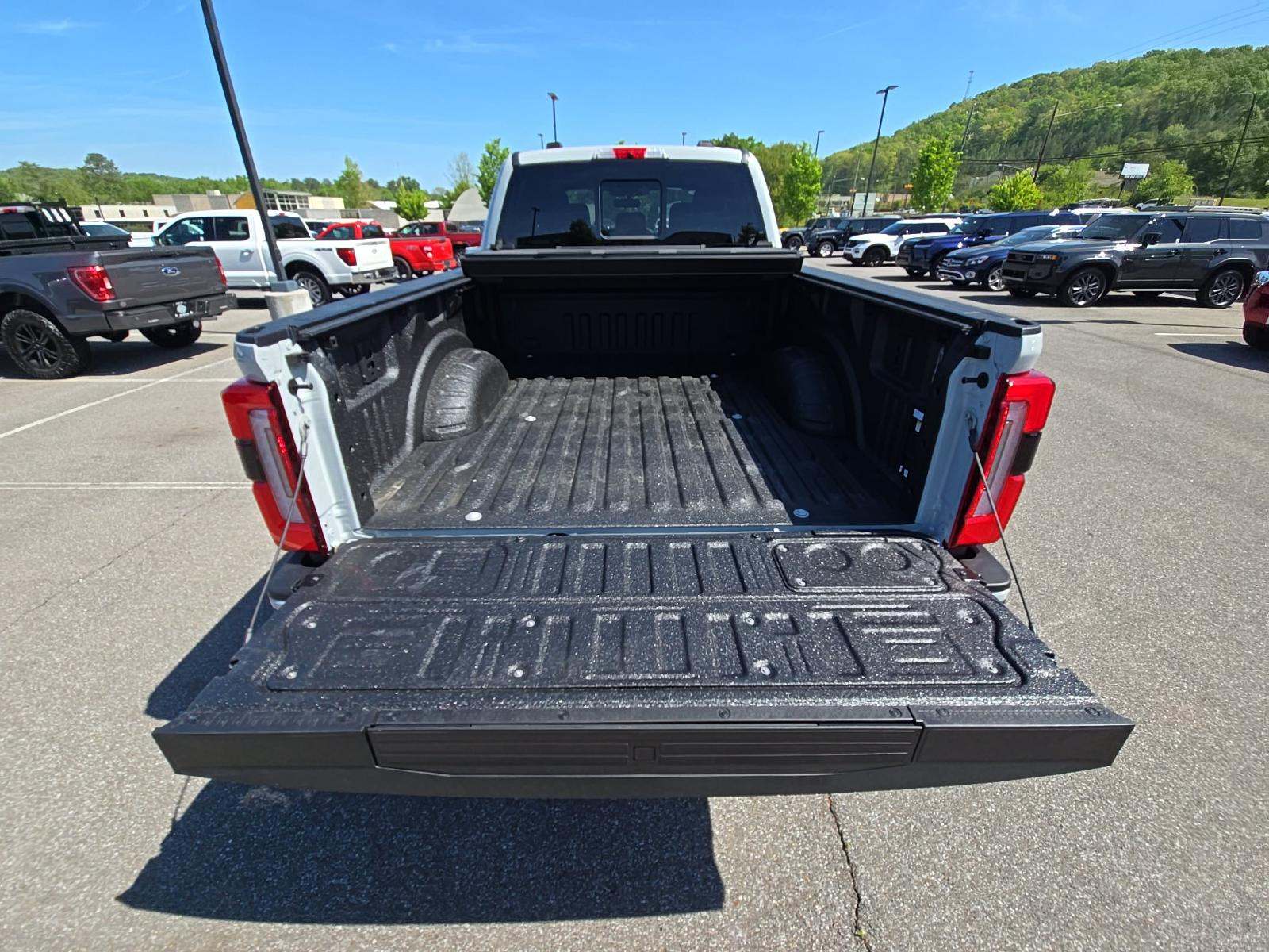 FORD F-250 - 10