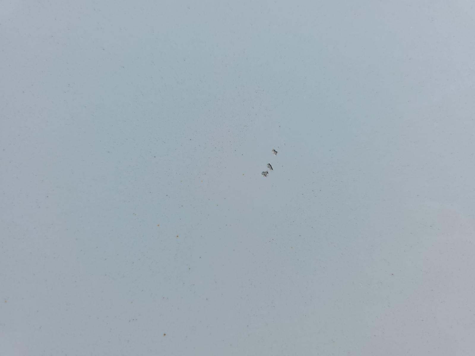 2024 Ford Escape Active FWD