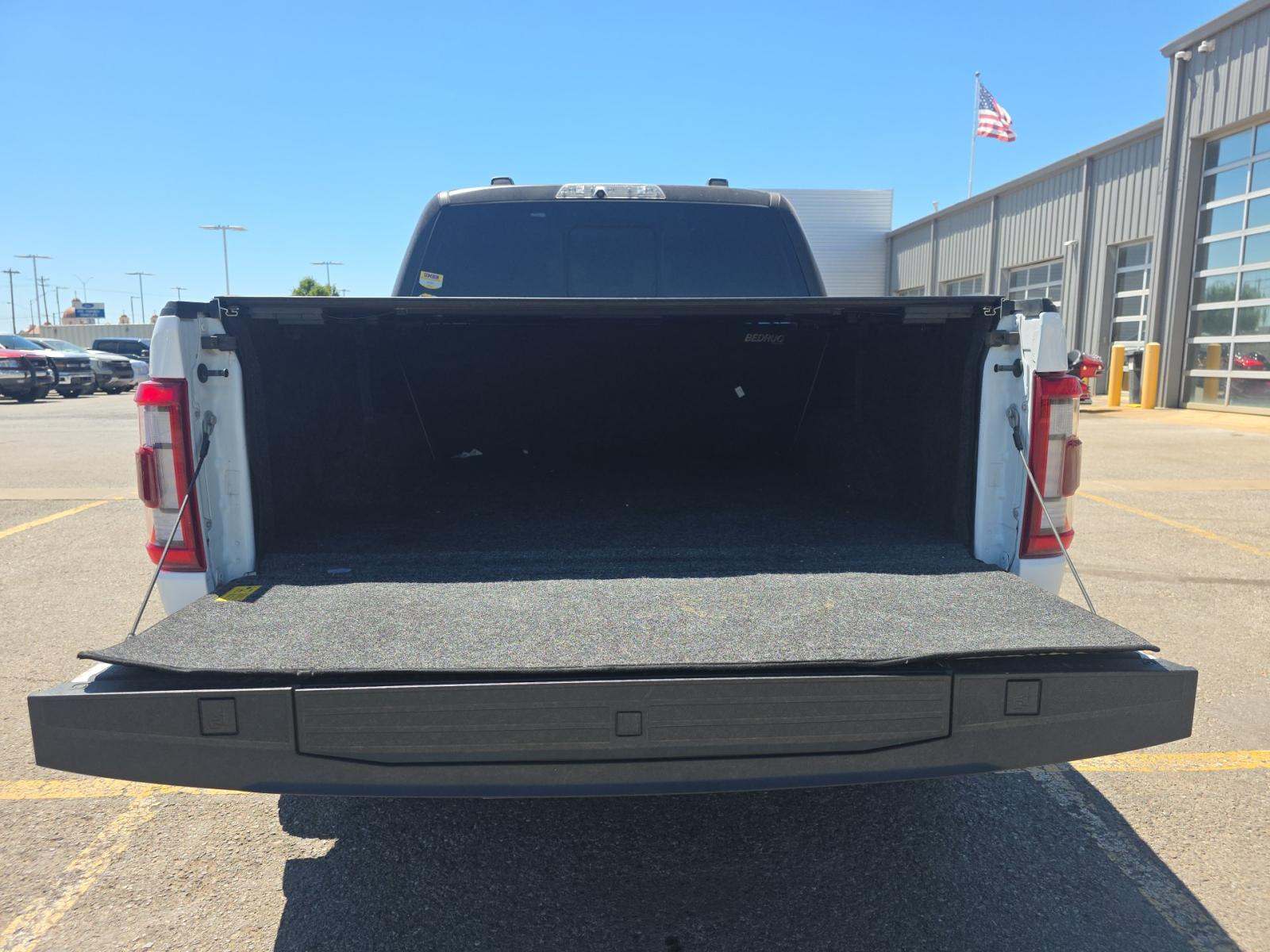 FORD F-150 - 10