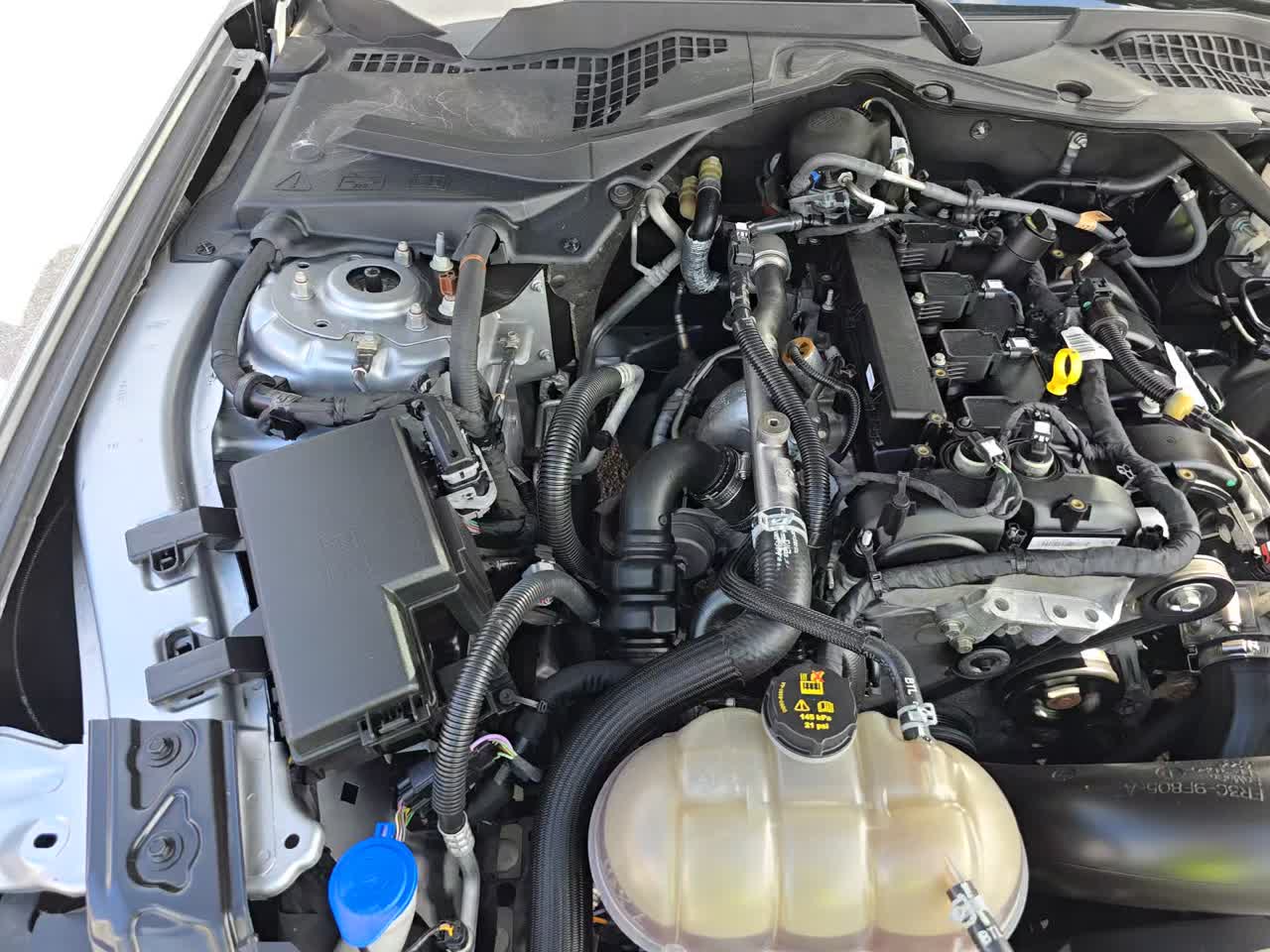 2023 Ford Mustang EcoBoost Premium RWD