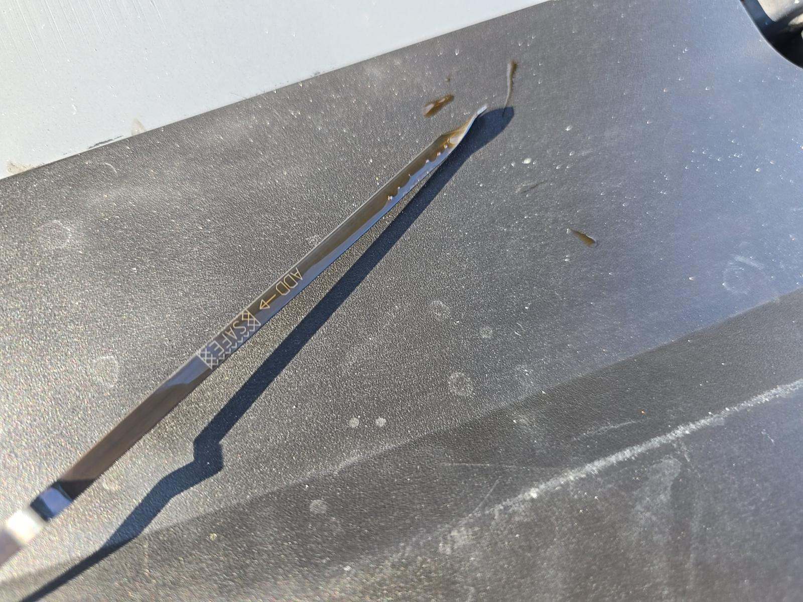 2023 Dodge Challenger R/T Scat Pack RWD