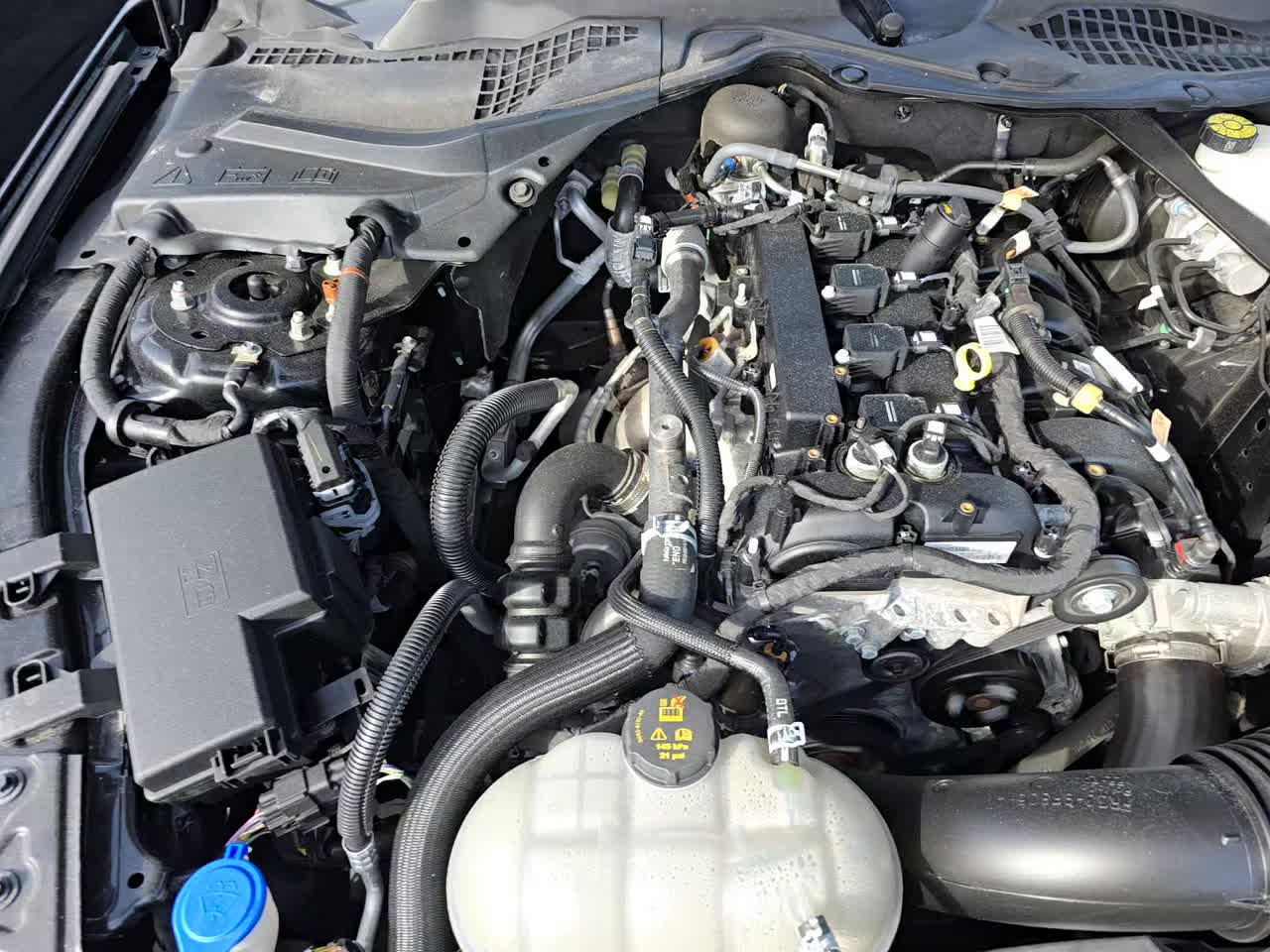 2023 Ford Mustang EcoBoost Premium RWD