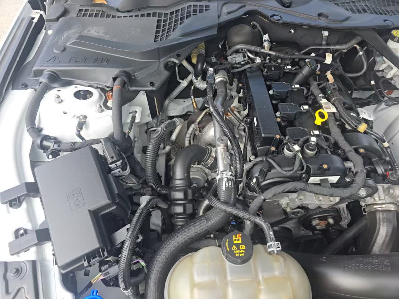 2023 Ford Mustang EcoBoost Premium RWD