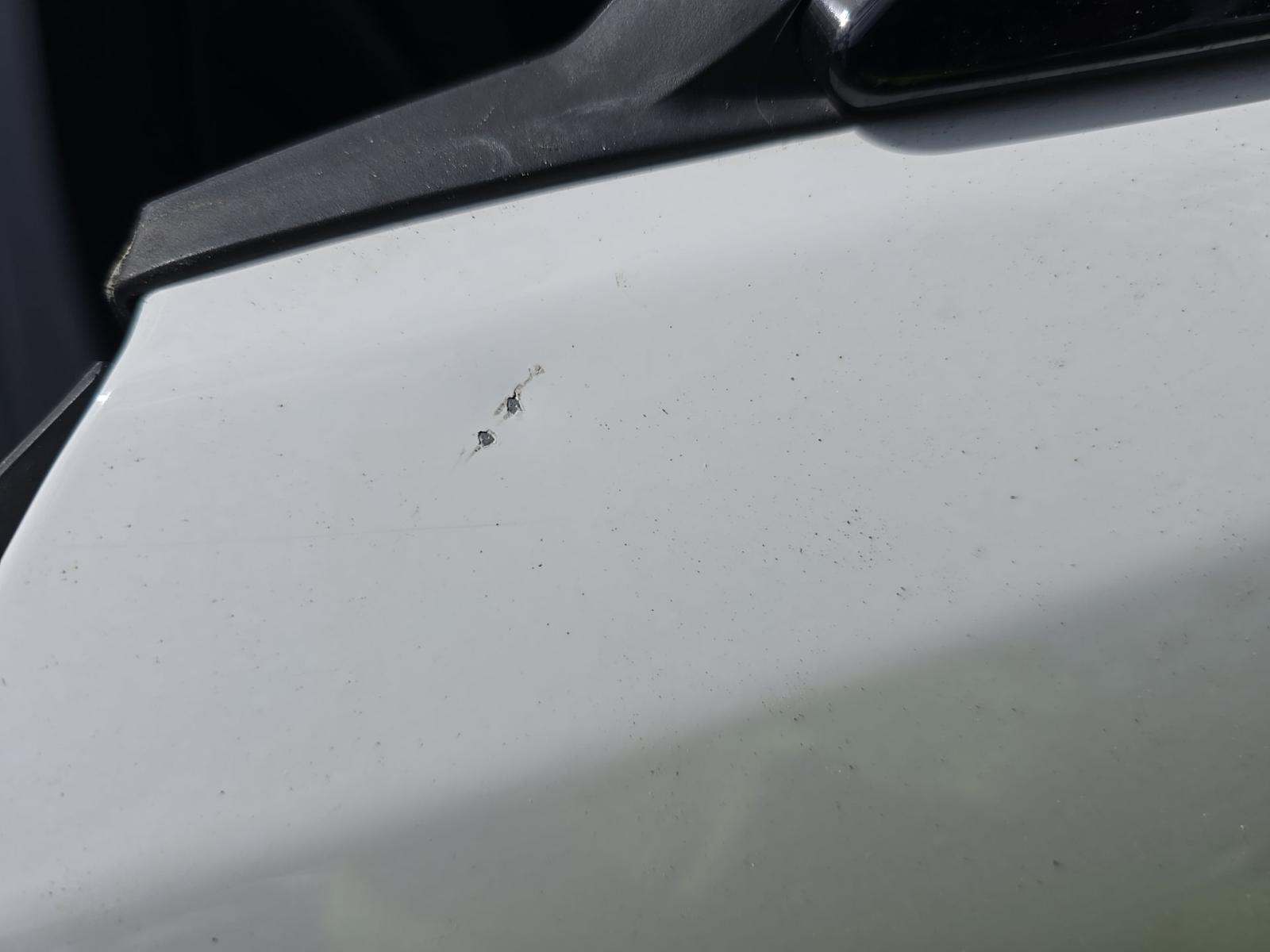 2015 BMW M4 Base RWD