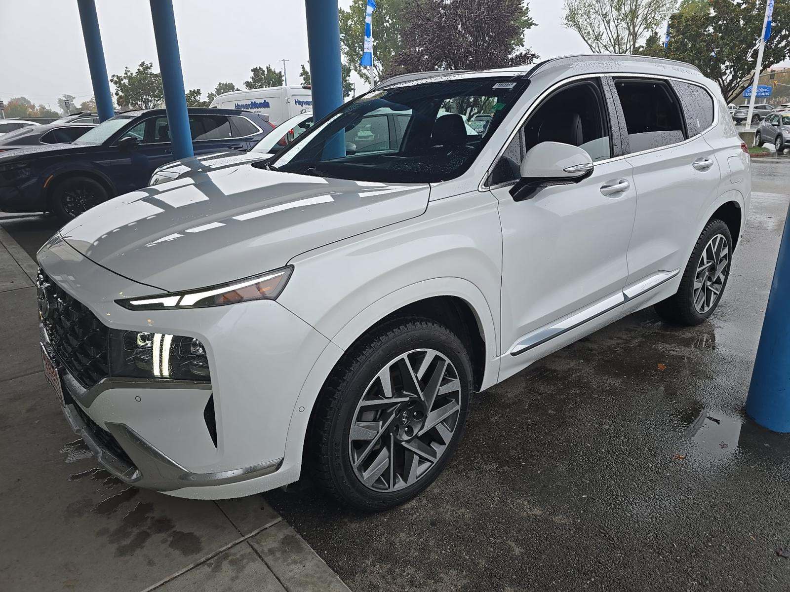 2023 Hyundai Santa Fe Calligraphy AWD