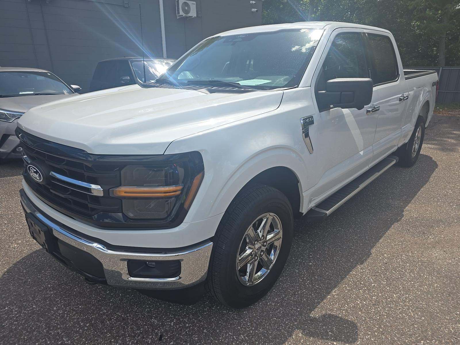 FORD F-150 - 1