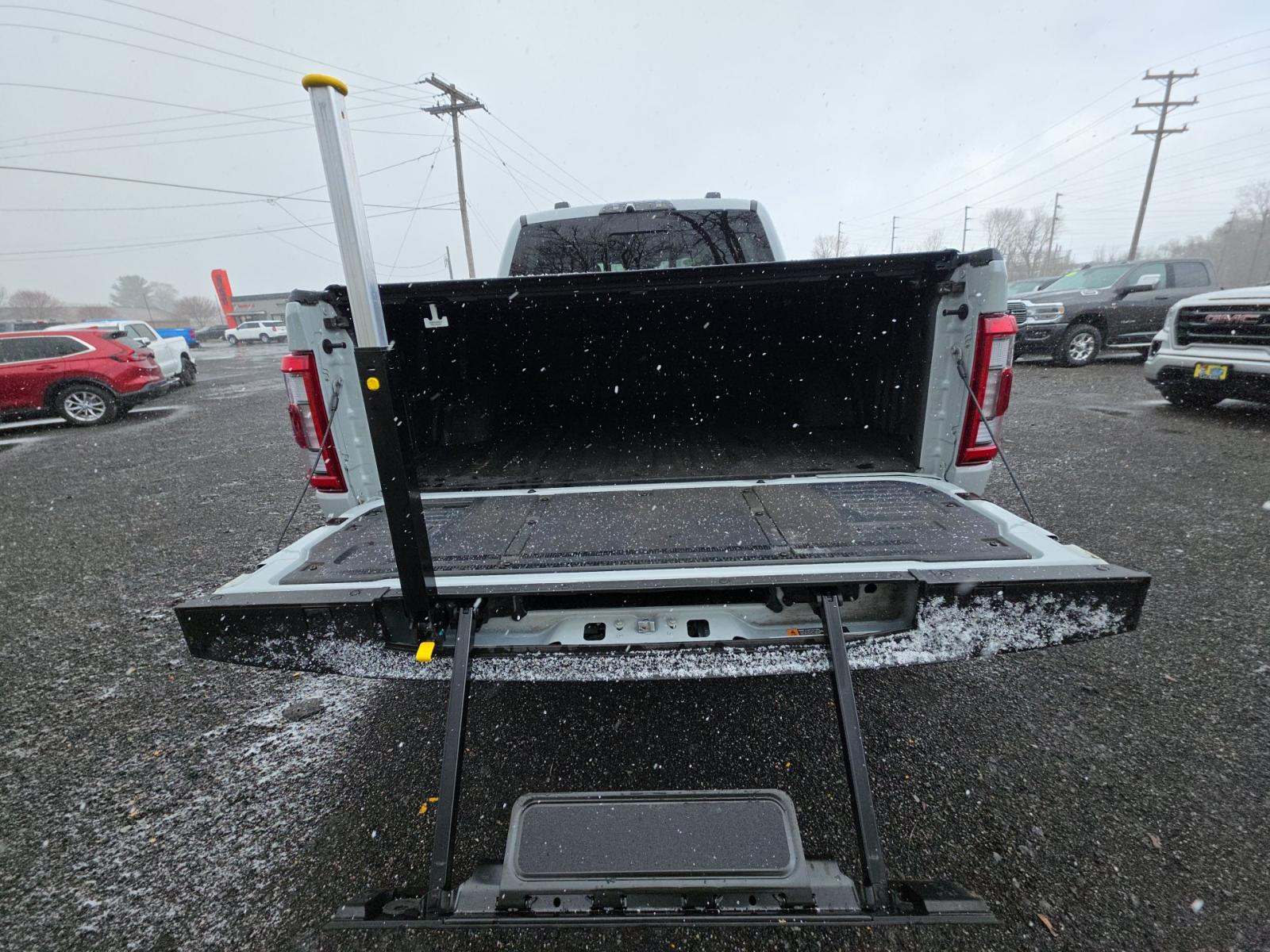 FORD F-150 - 10