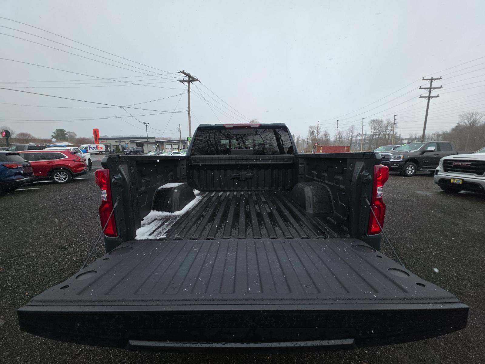 CHEVROLET SILVERADO - 10