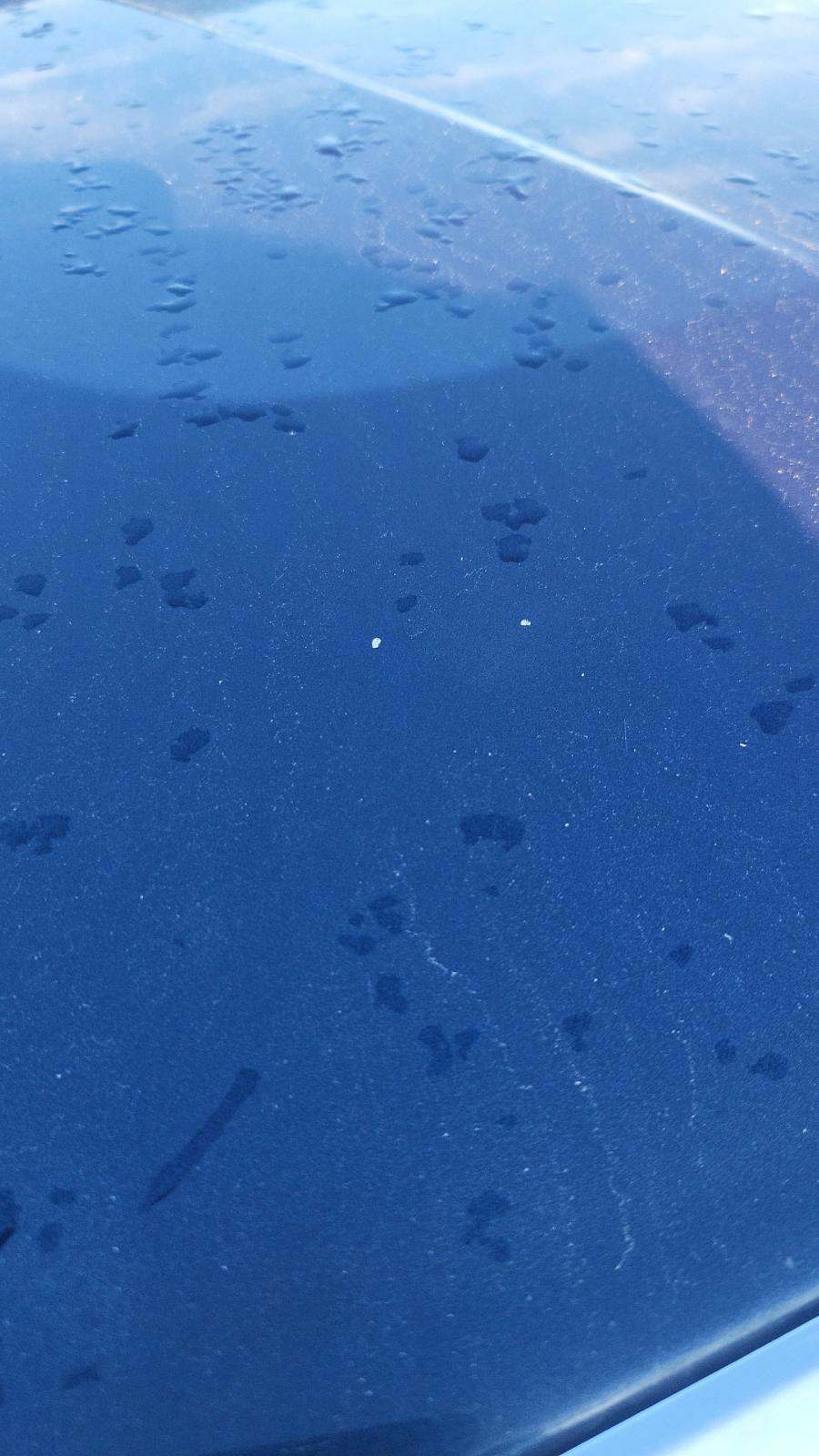 2013 Ford F-150 Lariat RWD