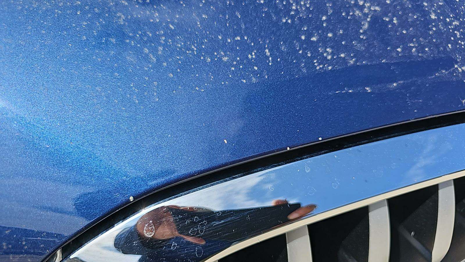 2019 BMW X3 sDrive30i RWD