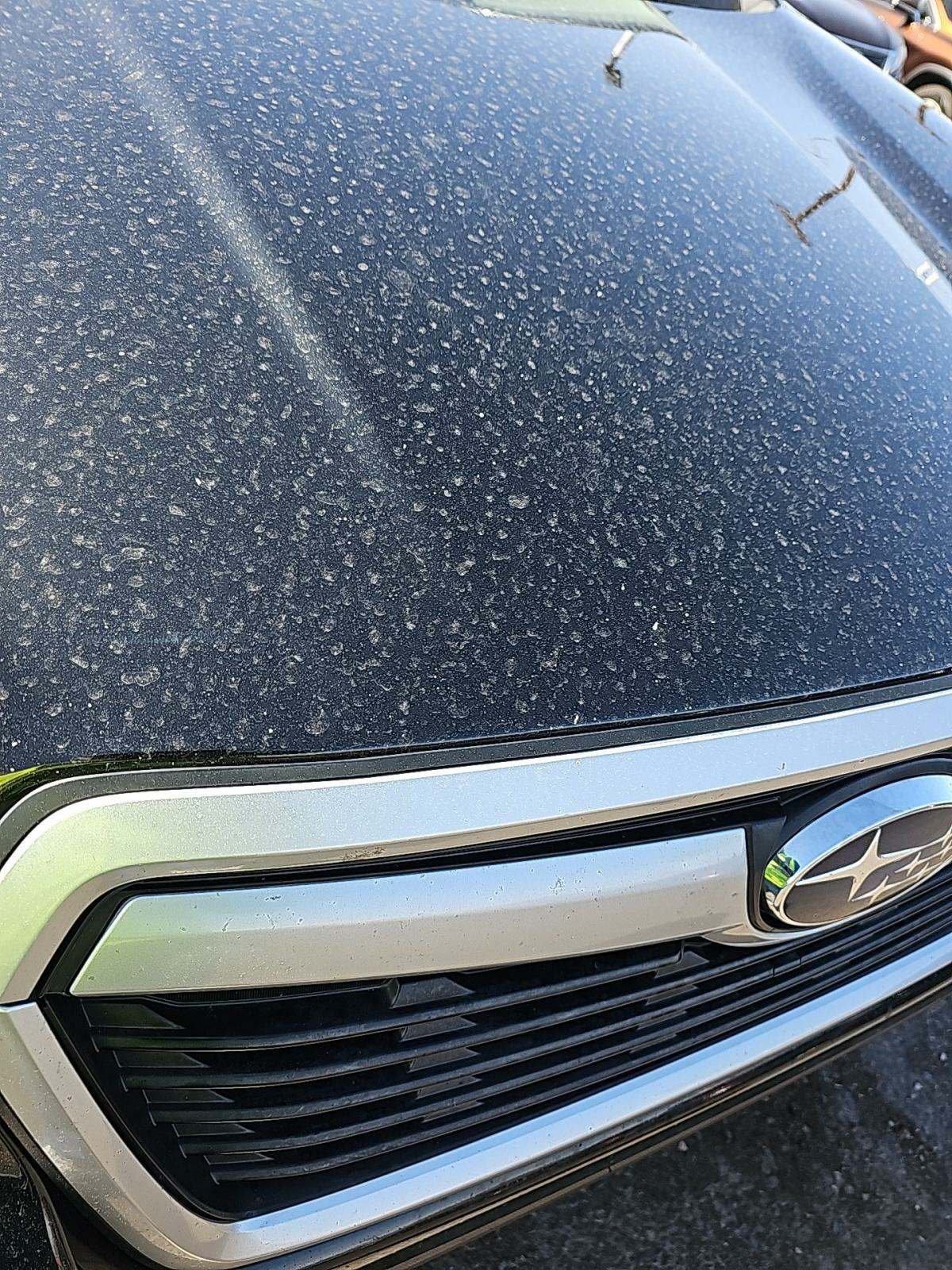 2019 Subaru Forester Premium AWD