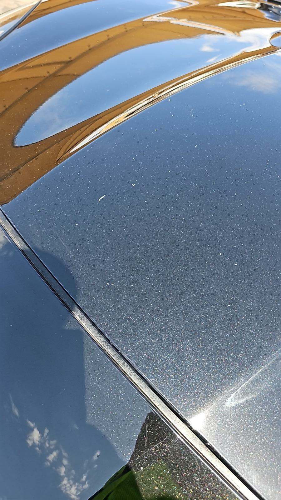 2014 Jaguar F-TYPE V8 S RWD